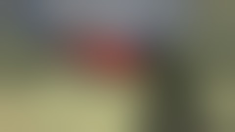 SourceForts - Oldschool beasting