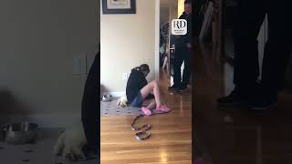 Cute Little Girl Surprised by Adorable New Puppy