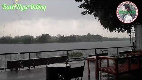 Đứa con tội lỗi