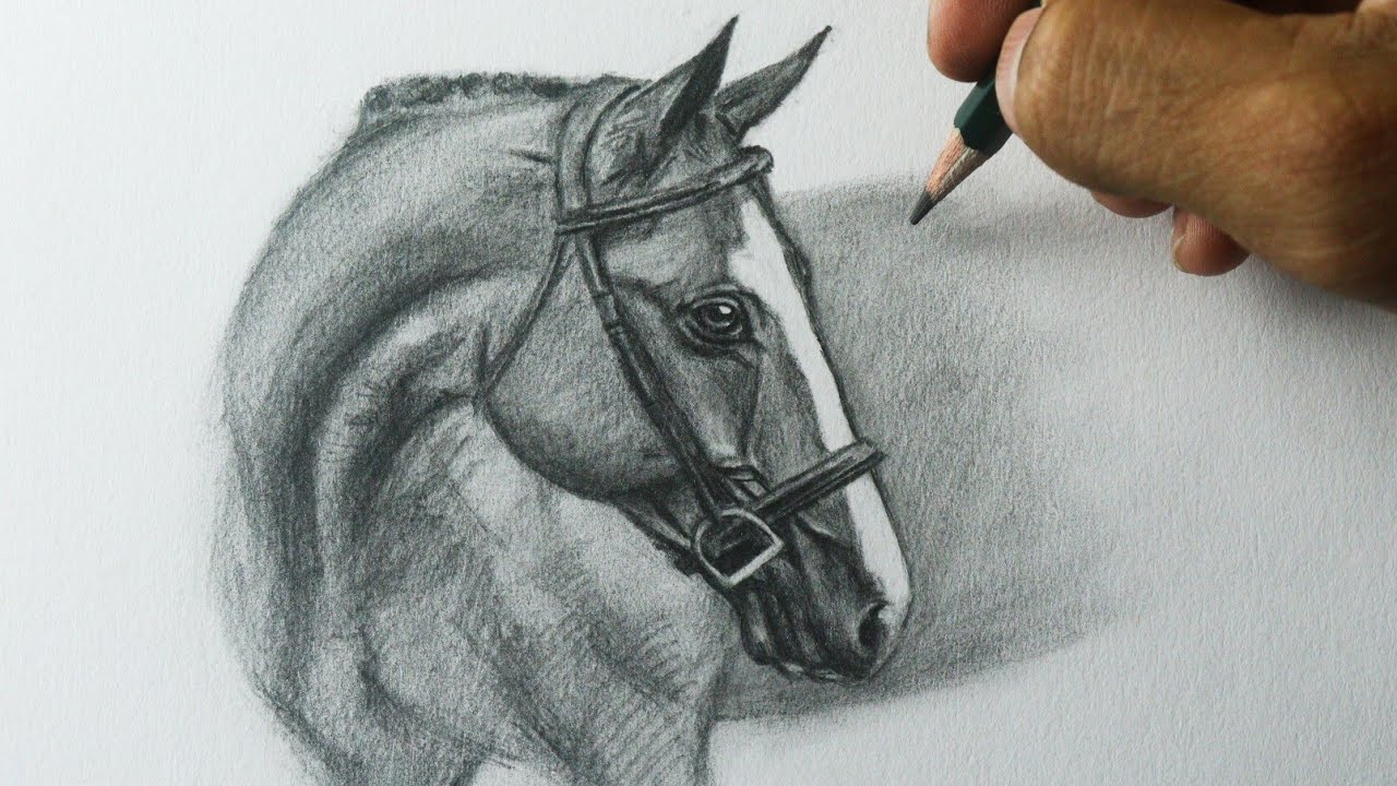 Como desenhar um Cavalo realista PASSO A PASSO narrado 