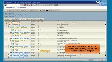 SAP Security: PFCG  mass maintenance options for authorization maintenance