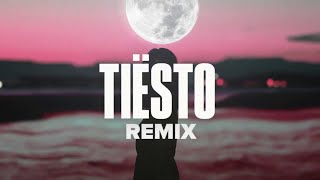 Tiesto - The Business (Cover Remix) | WM-MUSIC