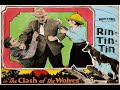 The clash of the wolves with rin tin tin 1925  silent  1080p film