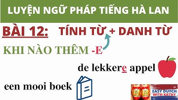 Học tiếng Hà Lan _ Bài 12: Khi nào thêm -e  vào sau tính từ + danh từ