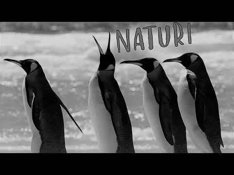 VNATURI - blago white (slowed+reverb)