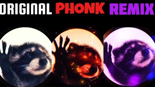 Dancing raccoon Raffaella Carrà - Pedro Original vs Phonk vs Remix Version