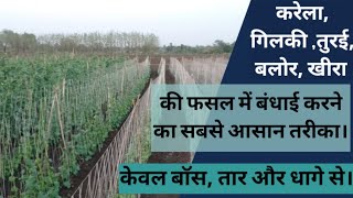 #HemantDhakad #Indianagriculture करेला,गिलकी, तुरई, बालोर,खीरा आदि फसलों की बंधाई करने का आसान तरीका