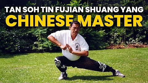 Chinese Master Tan Soh Tin Fujian Shuang Yang Whit...