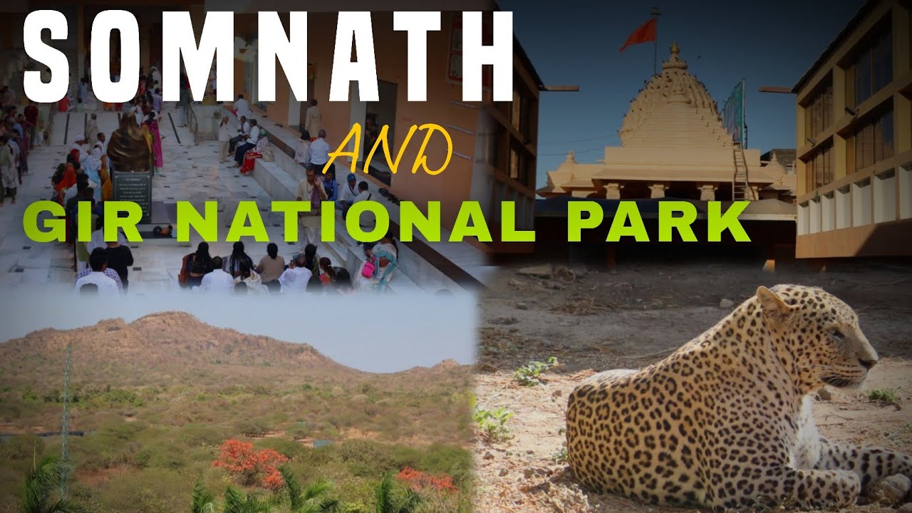 Somnath temple and Gir national Park  | Somnath se Gir kaise jaaye | Lion Safari Gir National Park