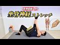 【坐骨神経痛】に効くストレッチ!整体師おすすめの痛みが楽になる方法『坐骨神経痛の治し方・マッサージ法』