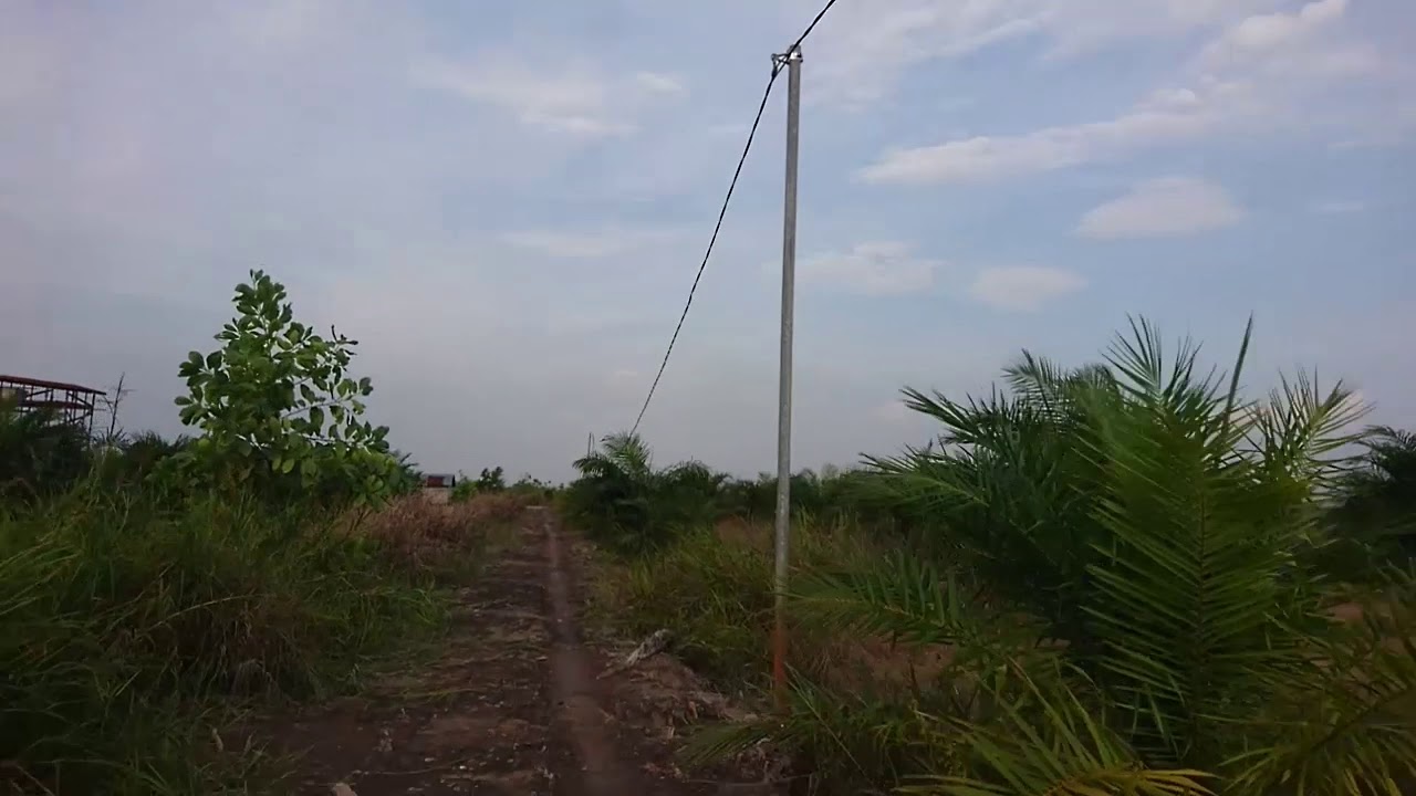 Indonesia Kaya Sampai ada Tiang listrik di tengah sawah - YouTube