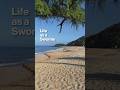 Life as a Swomie