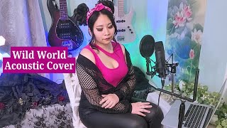 Wild World Acoustic Cover