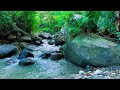 🌿 Calm River Sounds for Focus, Study and Stress Relief Background 🎧