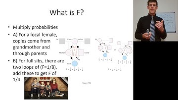 Lecture 7 1  Non random mating inbreeding