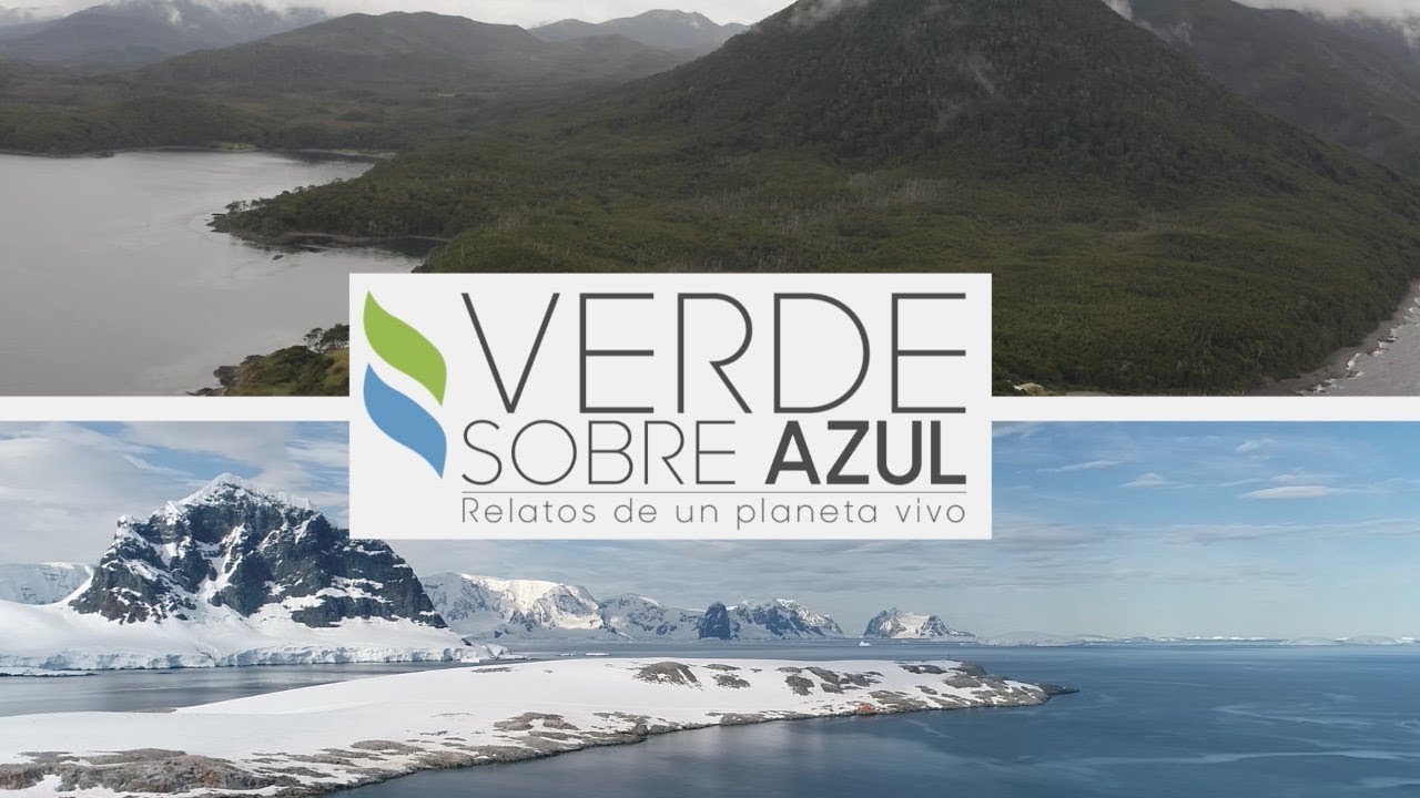 ▶️ Capítulo 3 | acidificación de los océanos: el otro problema de las emisiones de CO2