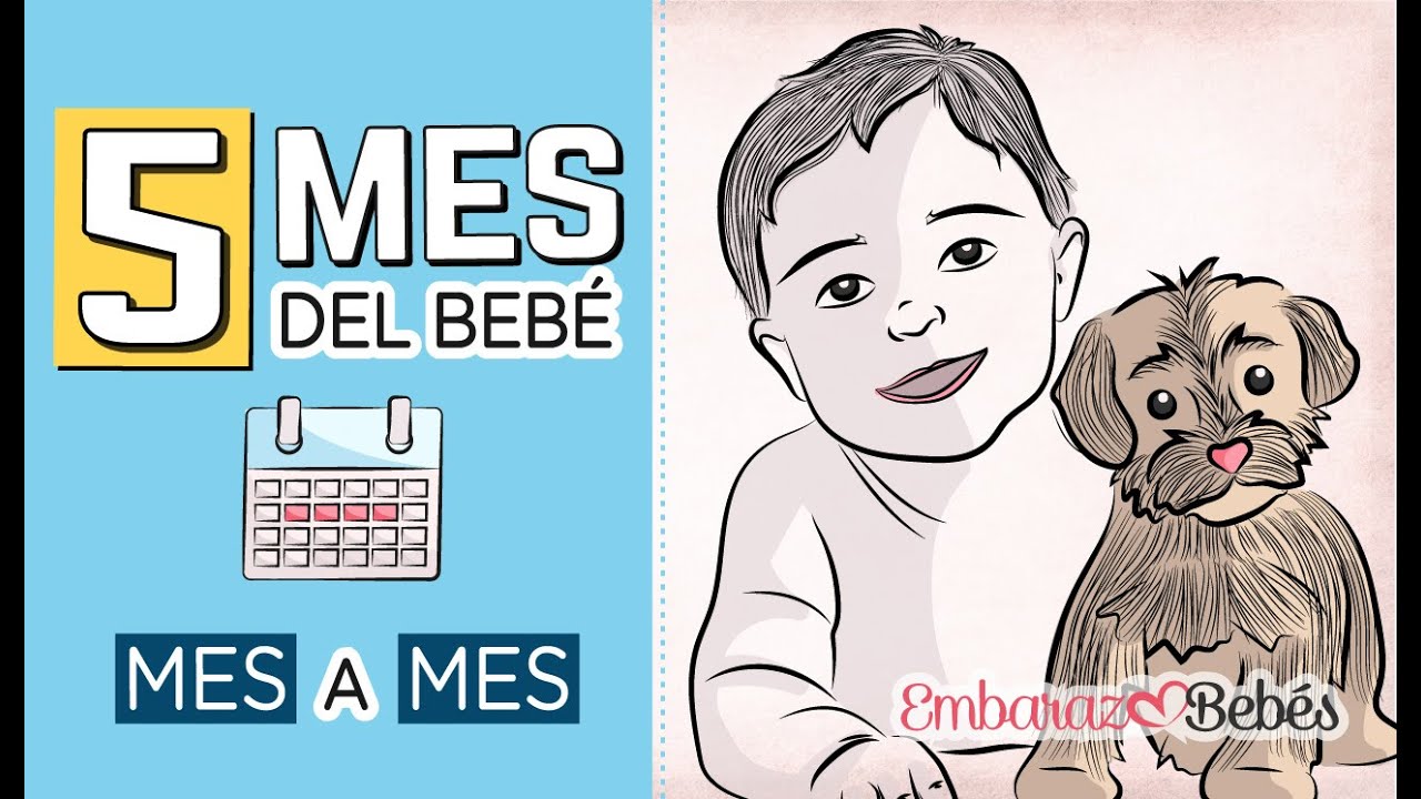📆👶🏻 QUINTO MES del bebé | 5 MES | Desarrollo y cuidados