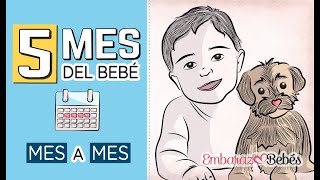 guisante Fragua En todo el mundo 📆👶🏻 QUINTO MES del bebé | 5 MES | Desarrollo y cuidados - YouTube
