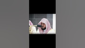 #سورة_هود الشيخ #ماهر_المعيقلي #القرآن_الكريم #تلاوات_خاشعة #تلاوات_مؤثرة #قرآن_کریم #قرآن