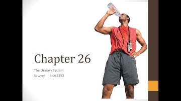 Chapter 26 Lecture Video