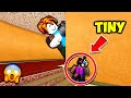 I BECAME THE SMALLEST AVATAR IN MM2... (Roblox)