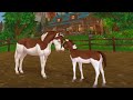 Mare and Newborn Foal Care in Star Stable Online