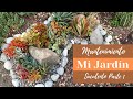 👩🏼‍🌾 1era parte/ Mantenimiento a mi jardín suculento