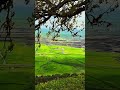 ابريل سنة ٢٠٢٦ كان مليئا بالجمال في ريف ديرك 