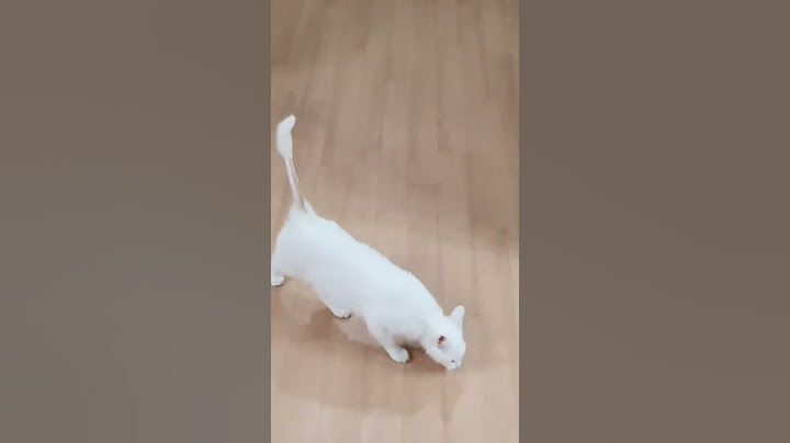 애교를 부려야 하나 말아야하나