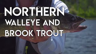 Big Walleye and Brook Trout in Northern Ontario