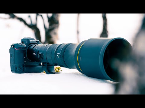 The Nikon 800mm 6.3 PF | Wildlife Photography in the Arctic