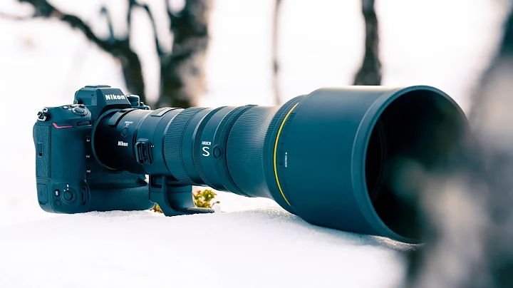 The Nikon 800mm 6.3 PF | Wildlife Photography in the Arctic - DayDayNews