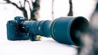 The Nikon 800mm 6.3 PF | Wildlife Photography in the Arctic