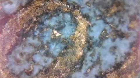 penny under a microscope