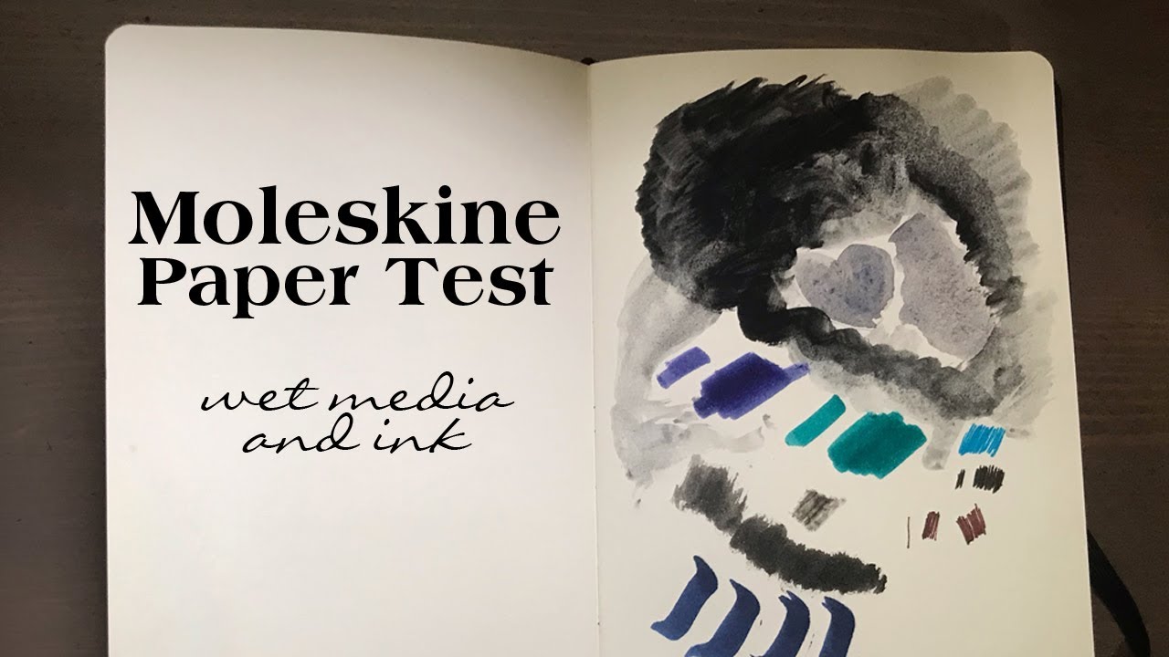 Moleskine Sketchbook, a review and a Flip-Through Video