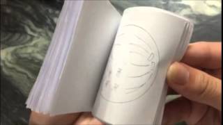 Mitosis Flipbook Activity Bung