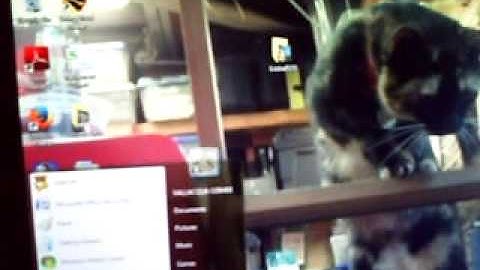 Motorola Razr M No internet connection using hotspot =Solution..