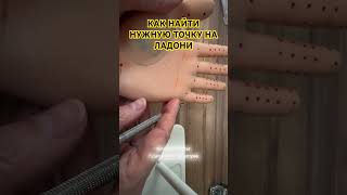 Как найти нужную точку на ладони #суджок #акупунктура #обучение #массаж