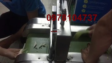 Máy cắt cùi bưởi sấy, máy cắt lát vỏ cùi bười sấy, máy thái hạt lựu cùi bưởi nấu chè