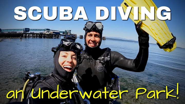 We FINALLY got to scuba dive the UNDERWATER PARK i...