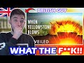 British Guy Reacts to What Happens If Yellowstone Blows Up Tomorrow?