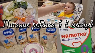 видео: Меню ребёнка в 8 месяцев🥣 Рацион на весь день🥦🥕 картинка: Меню ребёнка в 8 месяцев🥣 Рацион на весь день🥦🥕