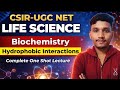 Hydrophobic interaction CSIR-UGC NET Life Science June 2026 lectures 📖📝💯Hydrophobic Interaction