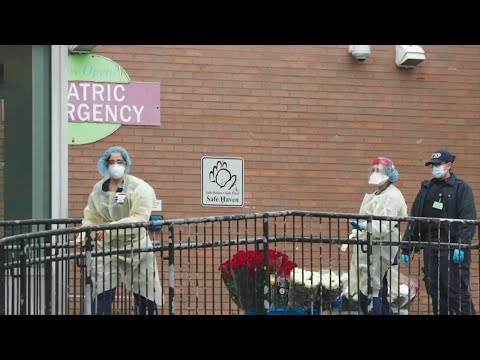 Coronavirus Death Toll