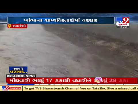 Monsoon 2021: Heavy rainfall in rural areas of Khambha, Amreli | TV9News