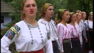 Danut Ababei Ansamblul Dumbrava Foicica Doi Bujori