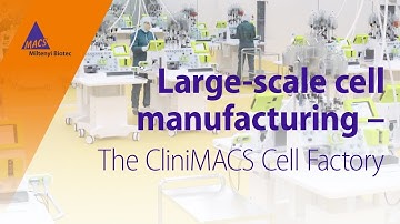 Large-scale cell manufacturing – The CliniMACS Cell Factory®