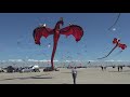 1000s of flying kites on the beach! Fanø, Denmark 🇩🇰