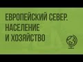 Европейский Север. Население и хозяйство. Видеоурок по географии 9 класс