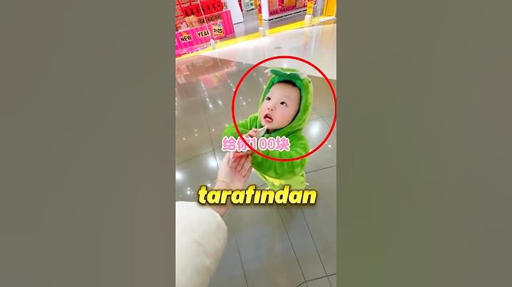 Şimdiye Kadarki En Şirin Kedi Peluşu Görevi 🐈🛒